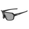 Matte Black - Smoke Black Mirrored